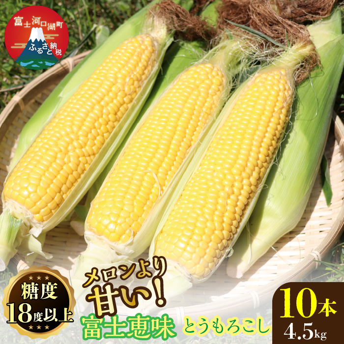 【2024年7月中旬より発送】【数量限定】【期間限定】メロンより甘い！生で美味しいとうもろこし富士恵味１０本セット FAH003