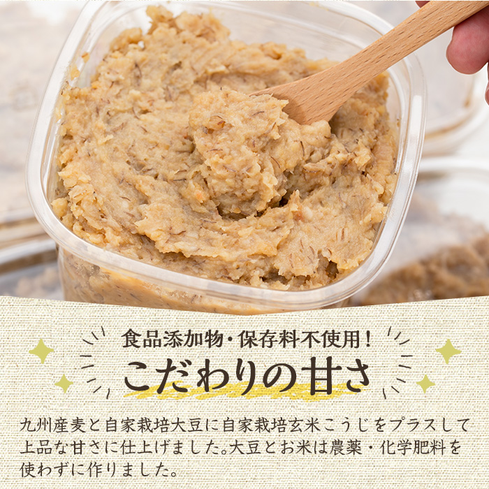 y175 ≪先行予約受付中！2024年7月以降順次発送≫《添加物不使用》麦みそ3.4kg(850g×4パック) 国産 九州産 味噌 麦味噌 自家栽培 玄米麹 麹 こうじ みそ汁【雲月農園】