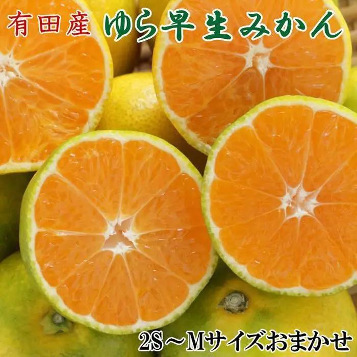 ［極早生みかんの逸品］和歌山県産ゆら早生みかん約5kg★2026年10月中旬頃より順次発送［TM120］