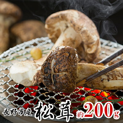 【ふるさと納税】長野市収穫　松茸　約200g（2～3本） 野菜 きのこ まつたけ 　お届け：2025年8月下旬～11月上旬