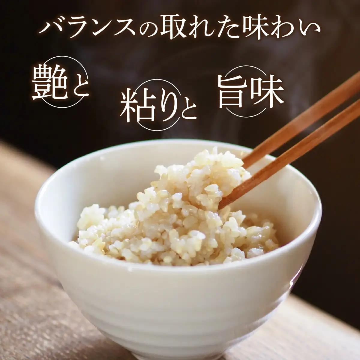 米 コシヒカリ 勝山市産 田中さんち 玄米 5kg [A-080012]