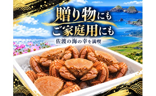 【先行予約】佐渡産 毛ガニ 300g×5杯 計1.5kg 浜茹で 冷蔵 海洋深層水で泥抜き | 新潟県産カニ 佐渡産カニ 佐渡島産毛ガニ 毛ガニ けがに 毛蟹 カニ 蟹 かに ボイル 浜茹で 姿 かに