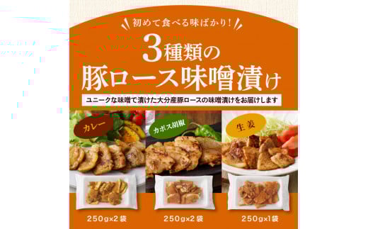 大分県産豚と味噌を使用 豚ロースの味噌漬け3種セット計5パック_2096R_イメージ2
