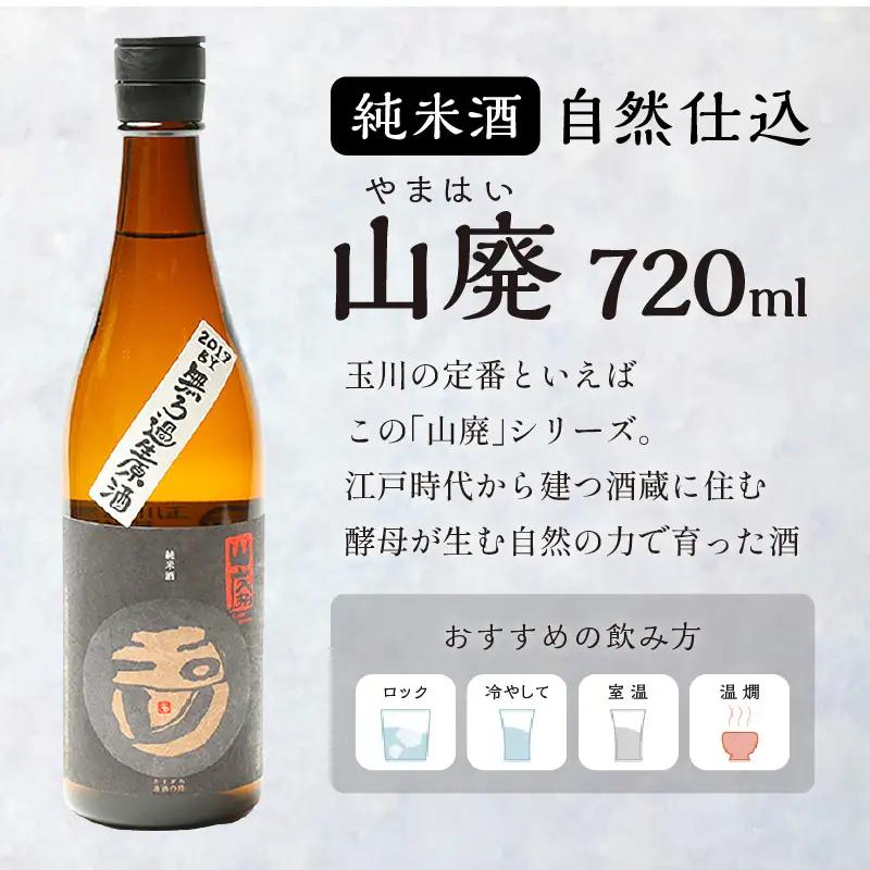 日本酒 純米無濾過生原酒 720ml 山廃 日本酒