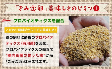 新鮮赤卵「きみ恋卵」60個_AA-2911_(都城市) 赤玉子 Mサイズ 60個 きみ恋卵 冷蔵 チルド 赤たまご 河中農園 取れたて新鮮たまご タマゴ たまご 鶏卵 お菓子作りにも最適