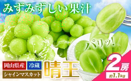 シャインマスカット 岡山県産【2026年先行予約】 シャインマスカット 晴王 2房 約1.1kg《2026年9月上旬-10月末頃出荷(土日祝除く)》 ハレノフルーツ マスカット 送料無料 岡山県 浅口市 フルーツ 果物 贈り物 ギフト 国産 岡山県産 くだもの 青果物 【配送不可地域あり】
