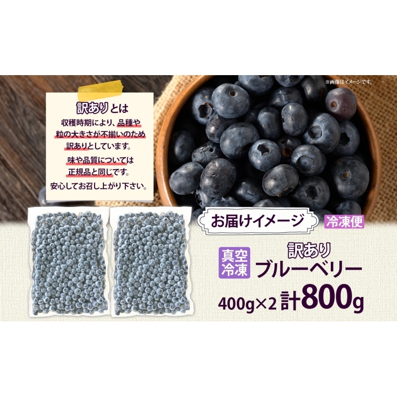 北海道 訳あり ブルーベリー 400g×2袋 9月以降順次出荷 果物 果実 フルーツ 新鮮 国産 ベリー 農作物 お取り寄せ グルメ ギフト 冷凍 長期 保存 送料無料 とうやMarche マルシェ_