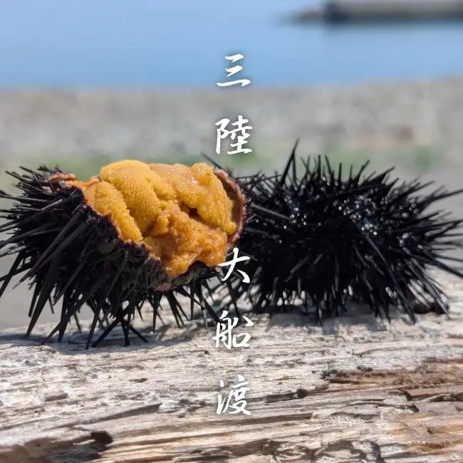 焼うに 2個 冷凍 うに