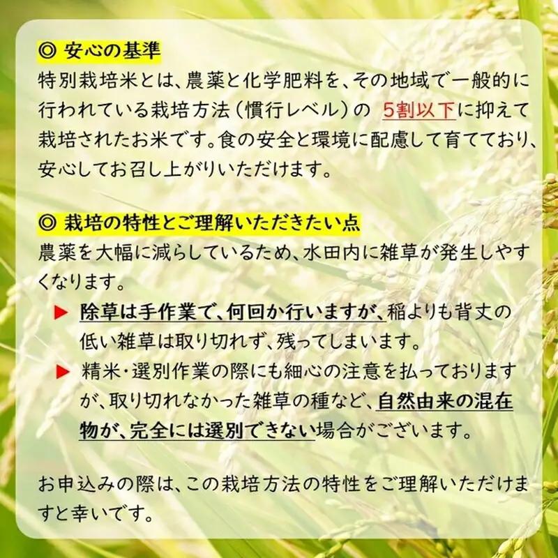 【令和8年産・白米8kg（4kg×2袋）】 特別栽培米　五郎兵衛米 〈2026年9月下旬頃～順次発送〉 先行予約　新米　信州　こしひかり