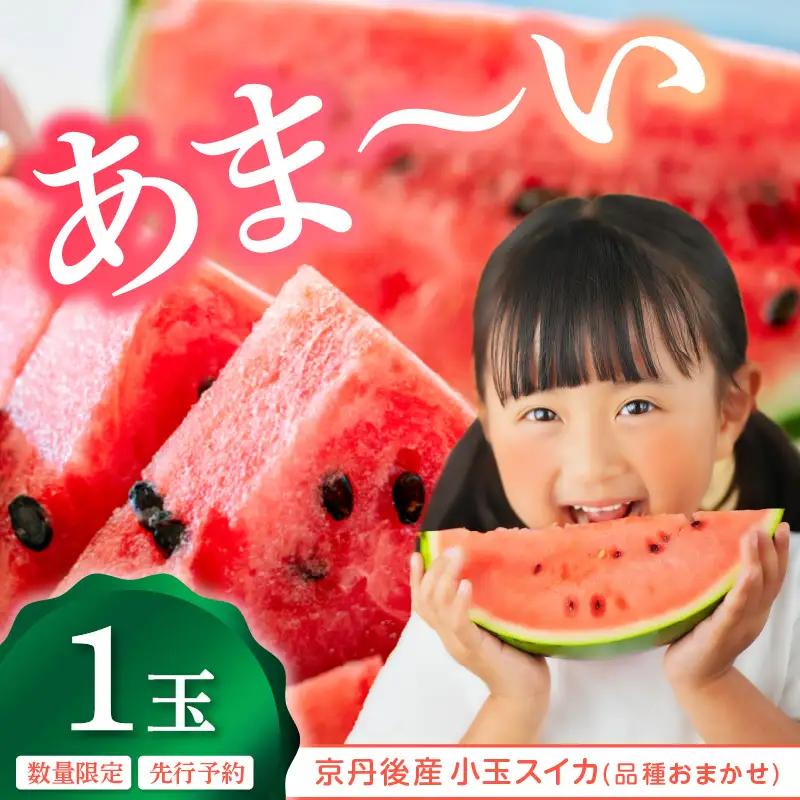 【先行予約】スイカ 小玉スイカ 品種おまかせ 1玉｜2026年7月上旬から発送