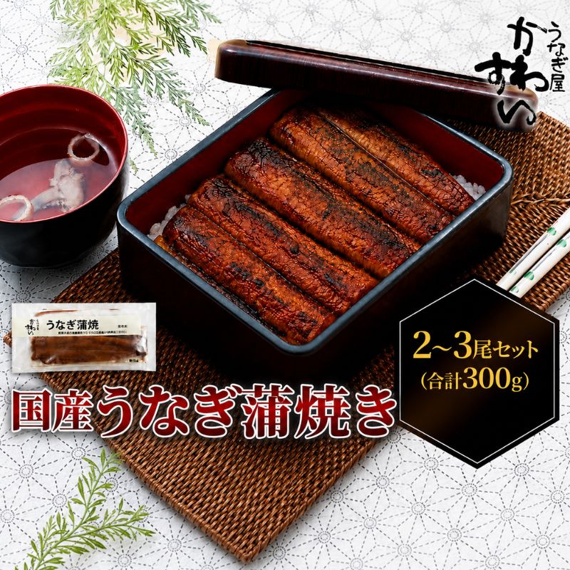 【ふるさと納税】うなぎ 蒲焼き 国産 2～3尾 合計300g以上 タレ4個付き 鰻 ウナギ かば焼き 長焼き 冷凍 真空パック 湯せん 土用の丑の日 うな丼 うな重 ひつまぶし 惣菜 セット かわすい 国産うなぎ 鰻蒲焼 うなぎ蒲焼 専門店 川口水産 香川県 東かがわ市 46312805