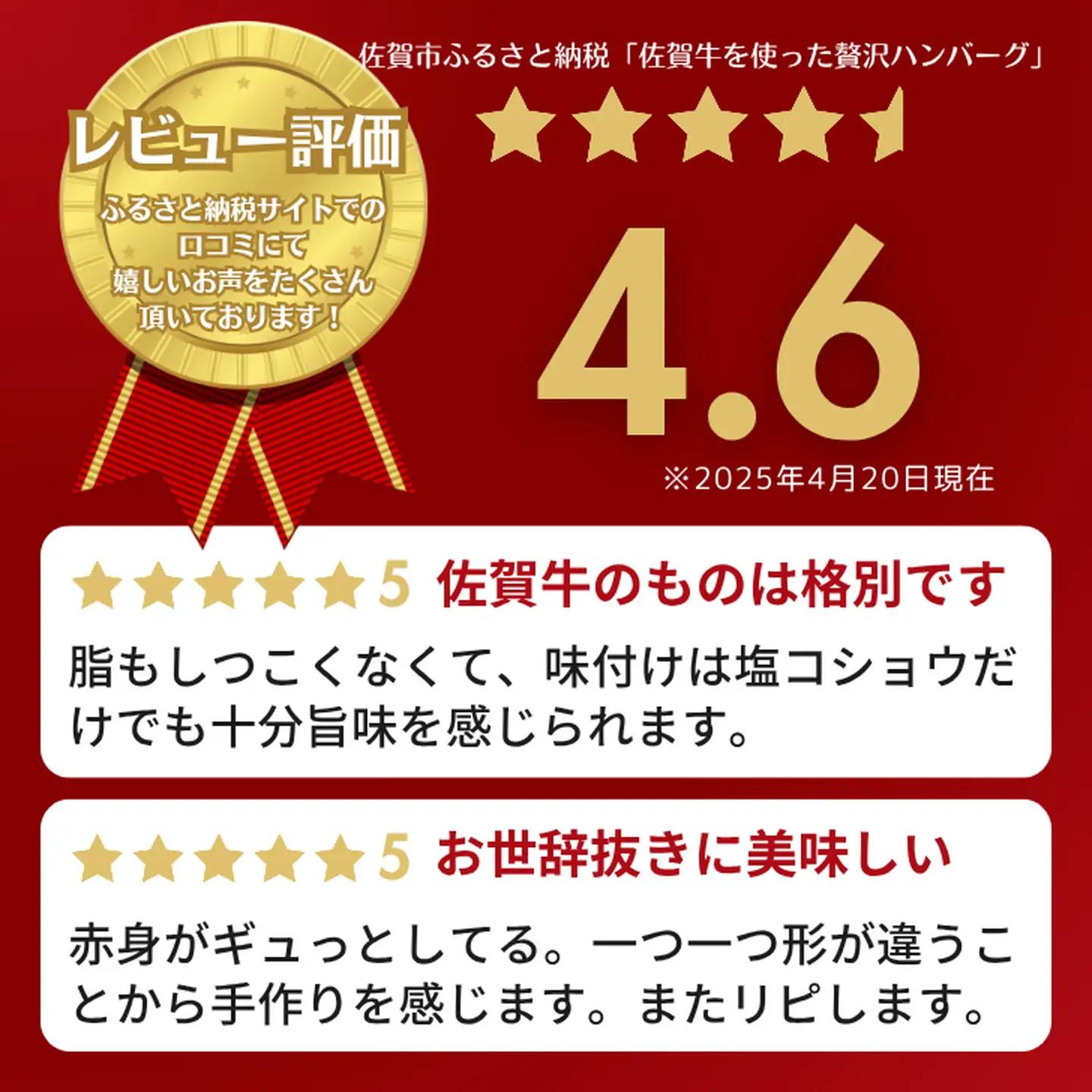 佐賀牛を使った贅沢ハンバーグ19個 簡単 調理 惣菜 冷凍 佐賀牛 佐賀県産豚 焼くだけ 人気 牧場直営ハンバーグ 佐賀県 佐賀市 高評価 ハンバーグ インフルエンサー紹介返礼品 ブランド牛ハンバーグ