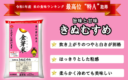 BG無洗米・金芽米きぬむすめ 2kg×3ヵ月 定期便 [毎月] 計量カップ無し 令和7年産 3ヶ月 計6kg 東洋ライス 健康 島根県 安来市