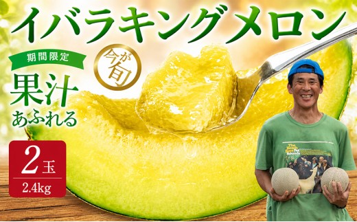 【2026年発送】 ジューシーな果汁たっぷりメロン ＼生産量日本一の実力！／ 旬の イバラキング メロン 1.2kg以上×2玉｜茨城県 鉾田市産 めろん 方波見農園 《安心安全栽培》上品な甘さ 絶品 産地直送 青肉 高級 おすすめ 人気 BMW農法 ジューシー 旬 大きい 甘い 国産 フルーツ 果物 ギフト プレゼント 贈り物