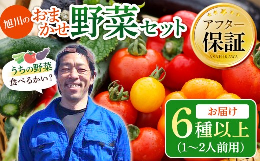【先行予約】旭川のおまかせ野菜セット(6種以上)(2026年7月下旬発送開始)  【おまかせセット 野菜セット 野菜詰め合わせ トマト ミニトマト ナス カラーピーマン キュウリ ズッキーニ スナップエンドウ ナンバン パプリカ インゲン ブロッコリー トマト とまと tomato TOMATO 新鮮 北海道 旭川市 】 _05908