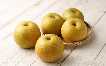 【9月発送分】梨 7.0kg  豊水 20世紀 新高 新興 果物