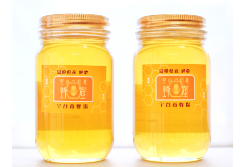 大田市産の純粋はちみつ（300g×2本セット）【はちみつ 蜂蜜 ハチミツ 300g 2本 セット 詰め合わせ 純粋蜂蜜 熟成蜂蜜 プレゼント ギフト 贈り物】