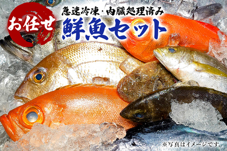 急速冷凍・内臓処理済み　お任せ鮮魚セット mi0051-0007