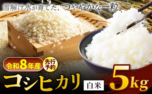 【令和8年産先行予約】コシヒカリ 白米 5kg 信州安曇野松川村産 松川村認定農業者 北アルプス 雪解け水 | 米 こめ コメ お米 白米 玄米 コシヒカリ ライス 長野県 松川村 信州 送料無料 国産米 産地直送 農家直送 新米対応