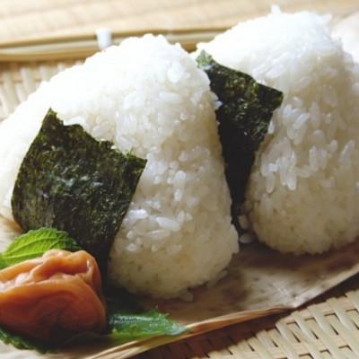 ふるさと納税 大牟田市 【のし付き】初摘み限定 福岡有明のり 味付海苔 6切5枚×24P(大牟田市) |  | 02