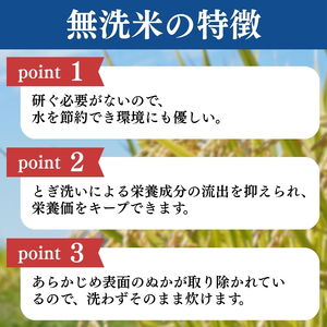 令和7年産 食味鑑定士厳選 新潟県産こしひかり 無洗米 30kg 3か月定期便 上越市 米 コメ コシヒカリ