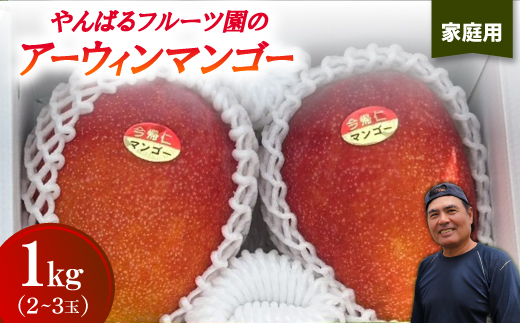 
                  ＜2026年6月から順次発送・家庭用＞やんばるフルーツ園のアーウィンマンゴー1.0kg(2～3玉)【1740009】
                