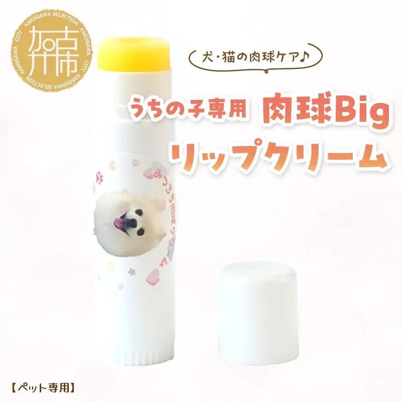 【ペット専用】うちの子専用肉球 Bigリップクリーム 《 ペットグッズ 愛犬 ケア 国産みつろう100% オーガニック スティックタイプ 大容量 ホホバオイル 》【133010N000】