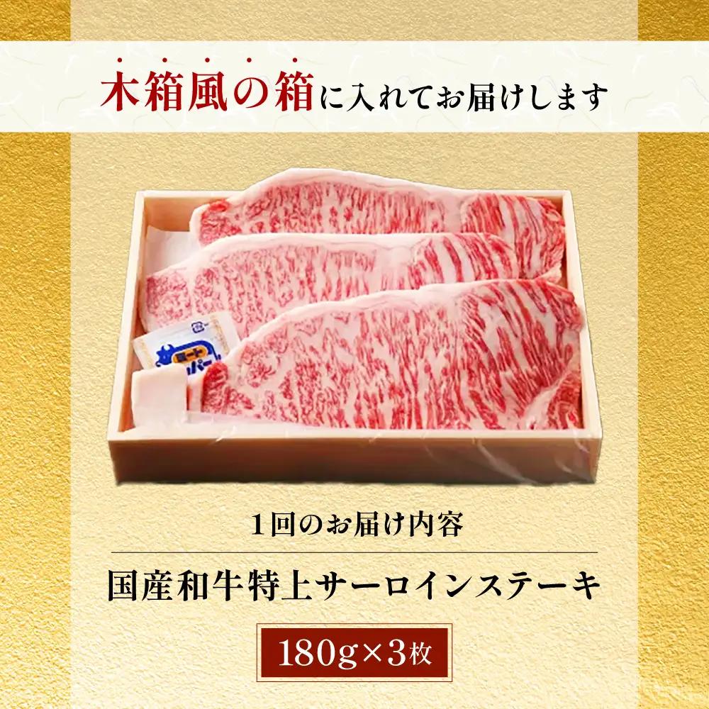 【全6回定期便】国産和牛特上サーロイン ステーキ 180ｇ×3枚[AOAI027] 特上サーロイン