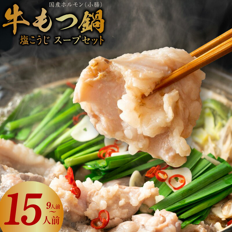 【ふるさと納税】国産 牛 もつ鍋 9～15人前 スープ セット 塩こうじ 牛もつ もつ 小腸 牛ホルモン ホルモン 鍋 生塩麹 塩麹鍋 酵素 国産牛 小分け 簡単調理 宅飲み 冷凍 お取り寄せ 年内発送 大阪府 泉佐野市 送料無料 肉の泉佐野