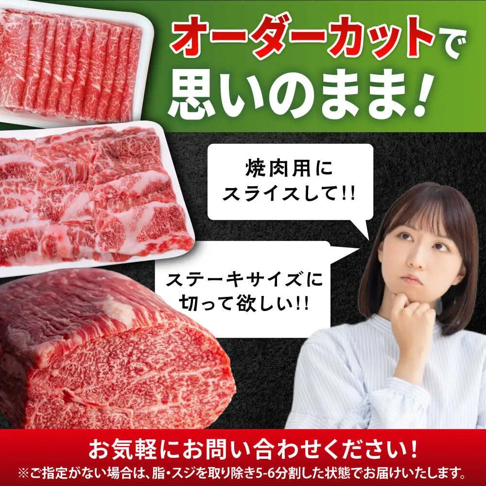厳選佐賀牛ヒレ1本5kg / 有限会社片岡精肉店 [41AEAC013]