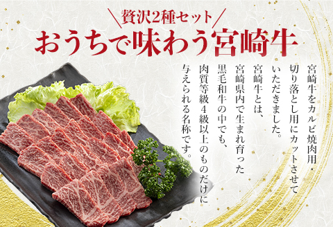 宮崎牛 カルビ焼肉・切り落とし セット 計800g |牛肉 牛 肉 カルビ 焼肉 焼き肉 やき肉 切り落とし