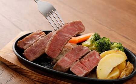 【6か月定期便】 熊本 あか牛 ヒレ肉 約3kg （約150g×15枚～18枚） 合計18kg 赤身 あかうし ステーキ 赤牛 牛肉 牛 ビーフ ヒレ 肉 国産 九州産 熊本県産 冷凍