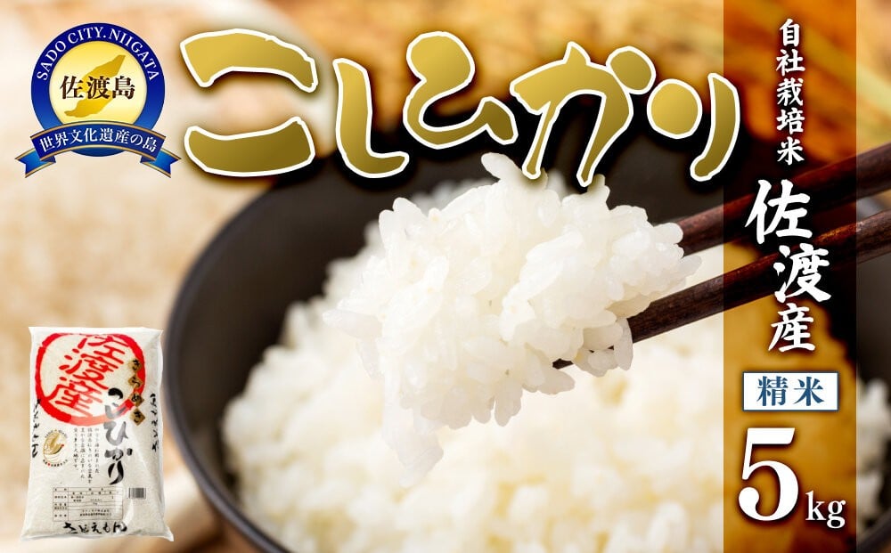 
            【先行予約】【令和7年米】自社栽培米佐渡産こしひかり（精米5kg）
          