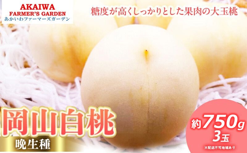 桃 2026年 先行予約 岡山の 白桃 (晩生種) 約750g 3玉 もも 岡山県 赤磐市産 フルーツ 果物 あかいわファーマーズガーデン デザート 旬の果物 旬のフルーツ