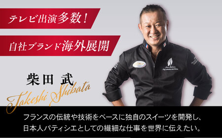 焼き菓子 詰め合わせ 8個入 多治見市 / シェ・シバタ スイーツ ギフト マドレーヌ[TDH008]