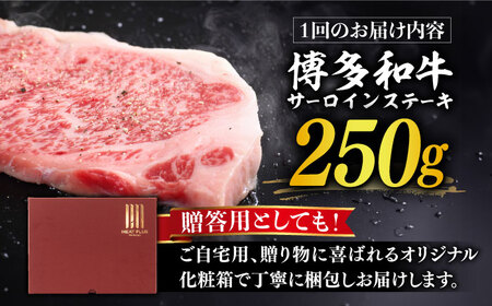 【全12回定期便】【厳選部位使用！】博多和牛 サーロイン ステーキ 250g×1枚《築上町》【株式会社MEAT PLUS】 [ABBP047] 定番サーロインステーキ 人気サーロインステーキ 大人気サ