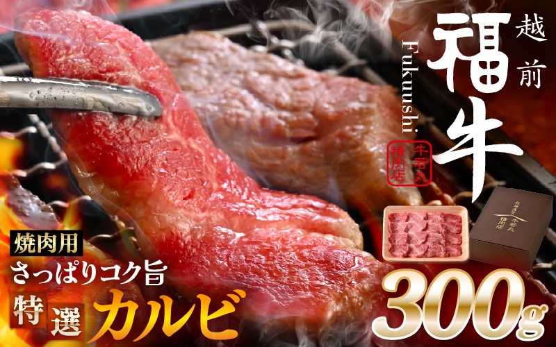 
                  希少 越前福牛 さっぱりコク旨 特選カルビ 焼肉用 300g 焼肉 焼き肉 国産牛ブランド牛 赤身和牛 かるび 肉 牛 牛肉 冷凍 贈答 贈り物 ギフト [A-1807]
                