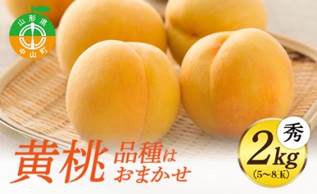 《先行予約》山形県産 黄桃 秀2kg (5～8玉) 【品種おまかせ】期間限定 数量限定 F4A-0146