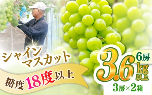 【2027年8月中旬～発送】【数量限定】【糖度18度以上】シャインマスカット 6房 3.6kg以上 （3房 1.8kg以上 × 2箱 / ぶどう ブドウ 葡萄 マスカット しゃいんますかっと フルーツ 果物 / 南島原市 / ミナサポ [SCW075]