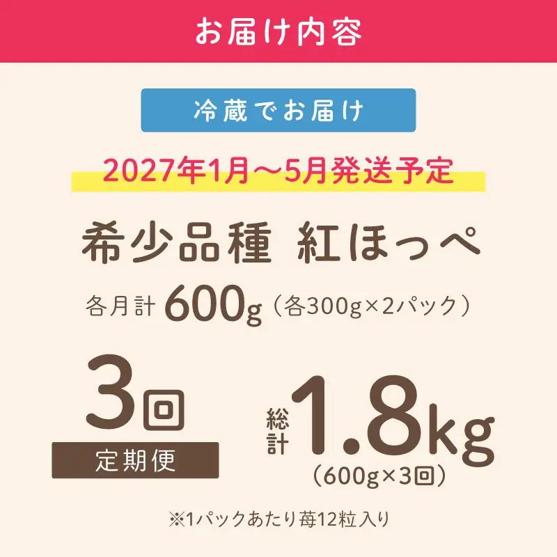 【2027年1月～5月発送予定】【いちご本来の甘酸っぱさを味わう】定番人気 紅ほっぺ 約600g（約300g×2パック×1箱）3ヶ月定期便【配送不可地域：北海道・沖縄・離島】【121C-011-202