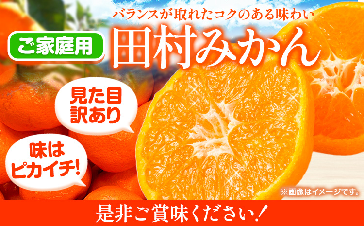【ご家庭用訳あり】田村みかん10kg株式会社魚鶴商店《11月下旬-2025年2月上旬頃出荷》柑橘フルーツ---wsh_utshtm_l112_23_18000_10kg---