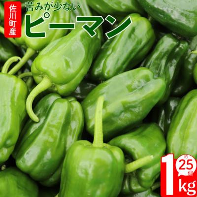 ふるさと納税 佐川町 <2026年5月下旬以降発送>事前受付中!!<ピーマン>1kg さらら 農副連携
