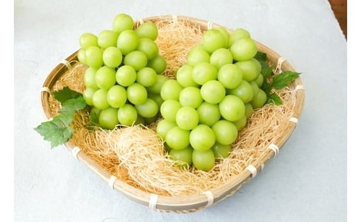 08-08-019　ぶどう(シャインマスカット)2kg