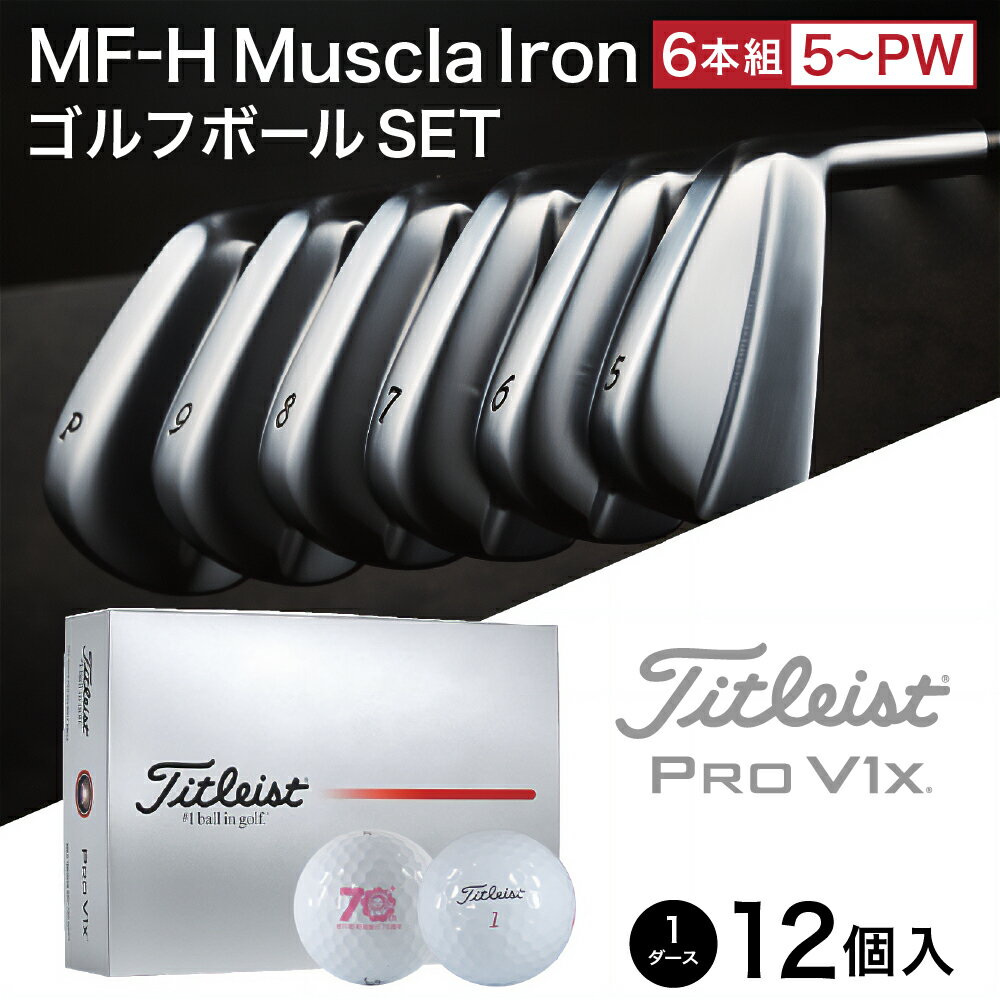 【ふるさと納税】キャビティアイアンCK-H（＃5-PW）＆ ゴルフボールV1X （1ダース） / 軟鉄鍛造 フォージド アイアン 国産 ゴルフクラブ ゴルフテック叡智 ゴルフ用品 310BD02S.