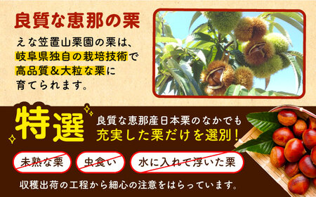 【先行予約】【2025年9月下旬から12月下旬に順次発送】冷凍むき栗「日本栗」 計1kg（250g×4P） [AUAV003]むき栗