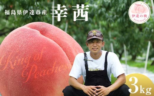 キングオブピーチ 桃 「幸茜」約3kg（8～12玉）暁星 伊達の桃 桃 もも モモ 果物 くだもの フルーツ 国産 食品 F21C-142