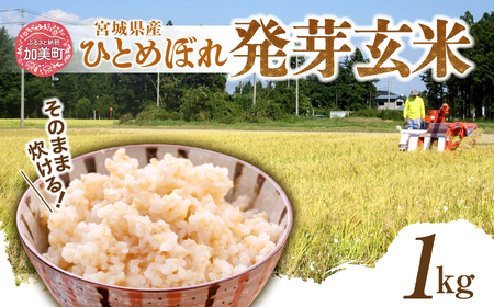 発芽玄米 宮城県産ひとめぼれ 1kg 玄米