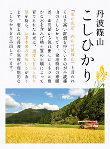 【令和7年産　新米予約　2025年9月より順次発送】丹波篠山産 コシヒカリ 10kg 白米 兵庫県 丹波篠山市 白米 単一原料米 産地直送米 贈答 おいしい お米 精米 コシヒカリ ブランド おこめ 