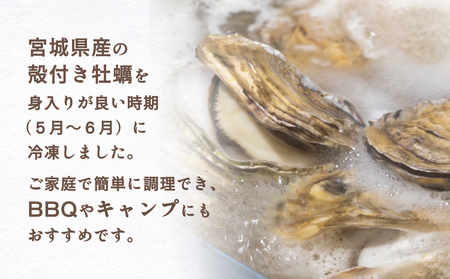 宮城県産冷凍殻付きかきカン缶焼き１.５K ガンガン焼き 簡単調理 BBQ 牡蠣 カキ 焼き牡蠣 三陸 カンカン焼き 海鮮 魚介 海鮮物