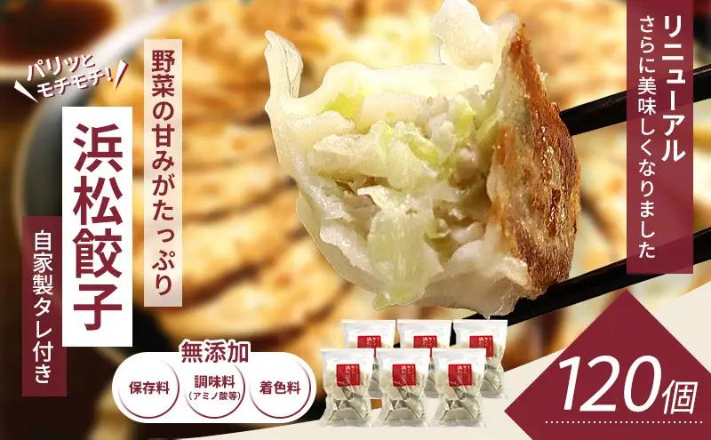 餃子 浜松餃子 120個 知久屋 どっさり セット 餃子